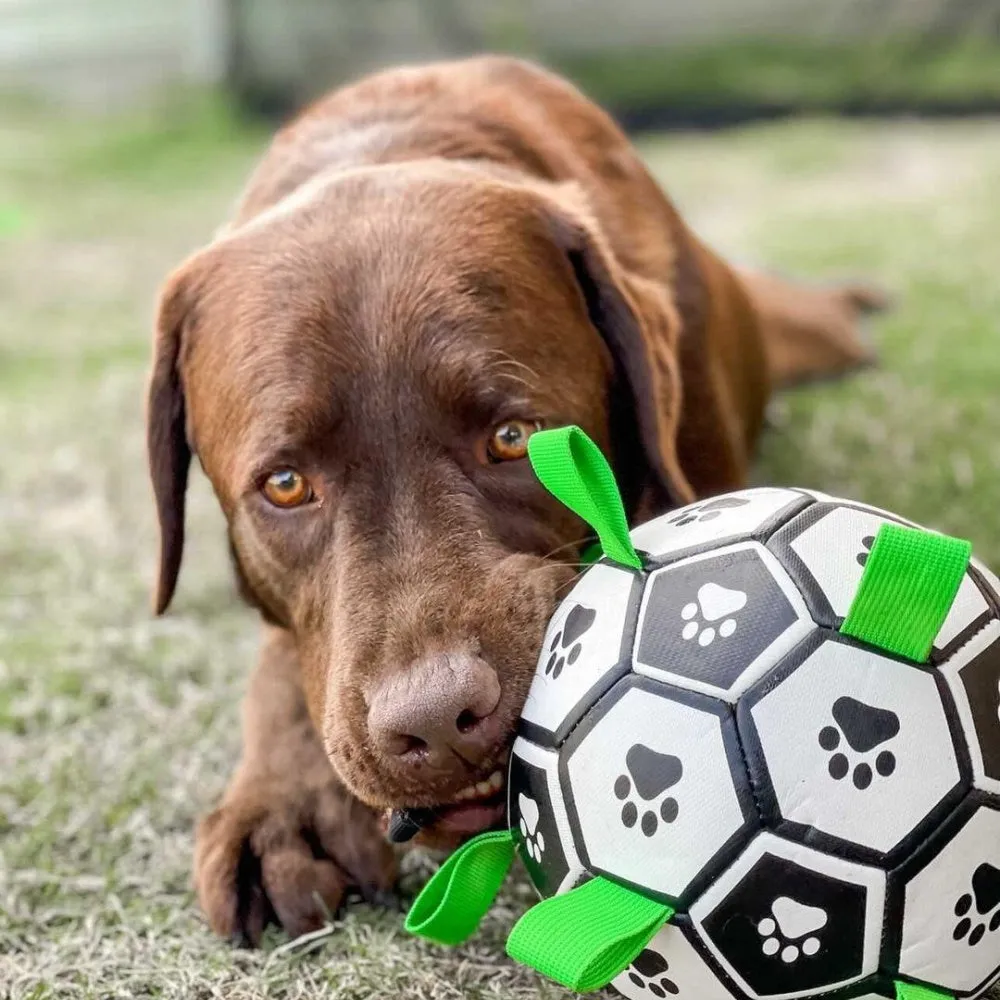 Interactive Dog Soccer Ball With Grab Tabs