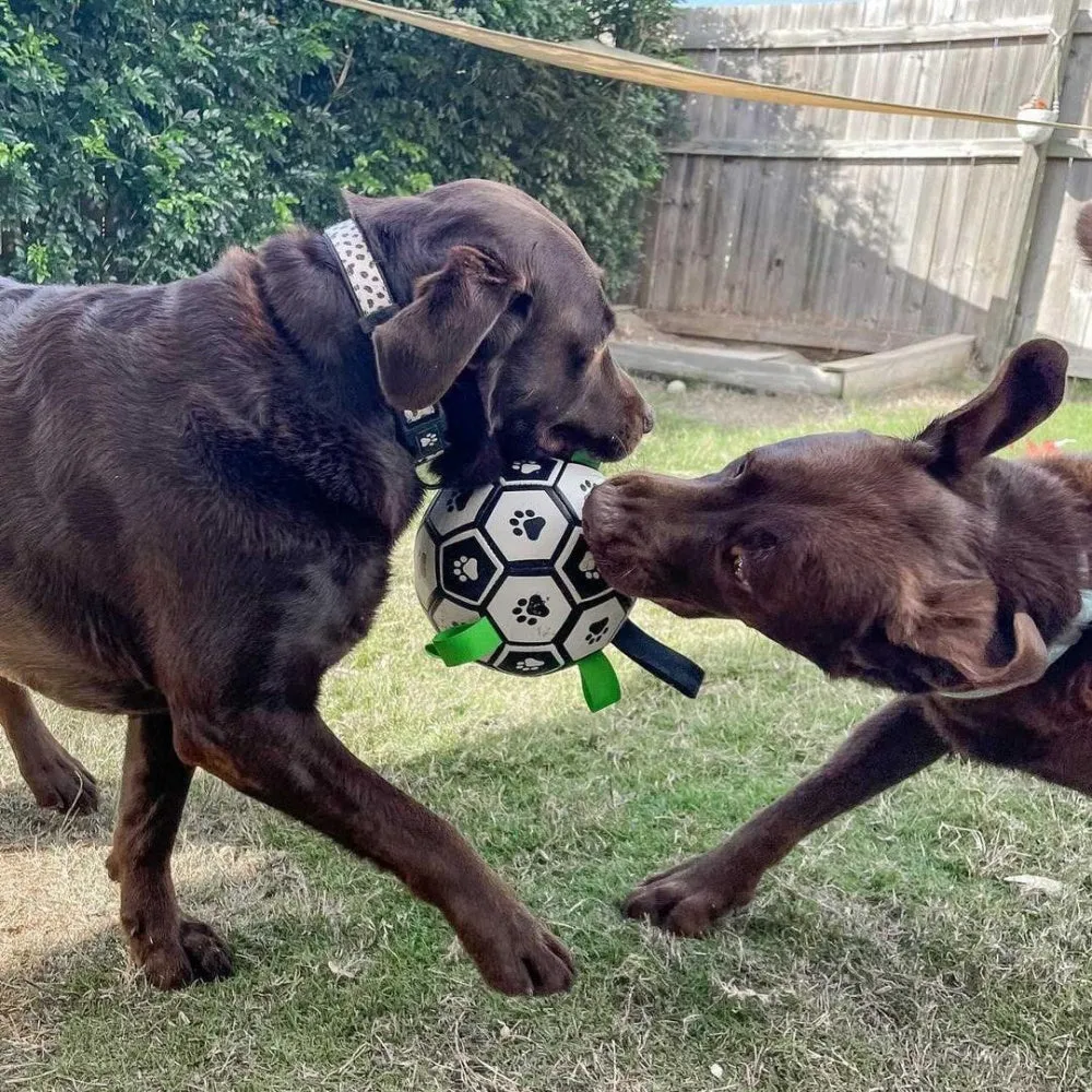 Interactive Dog Soccer Ball With Grab Tabs