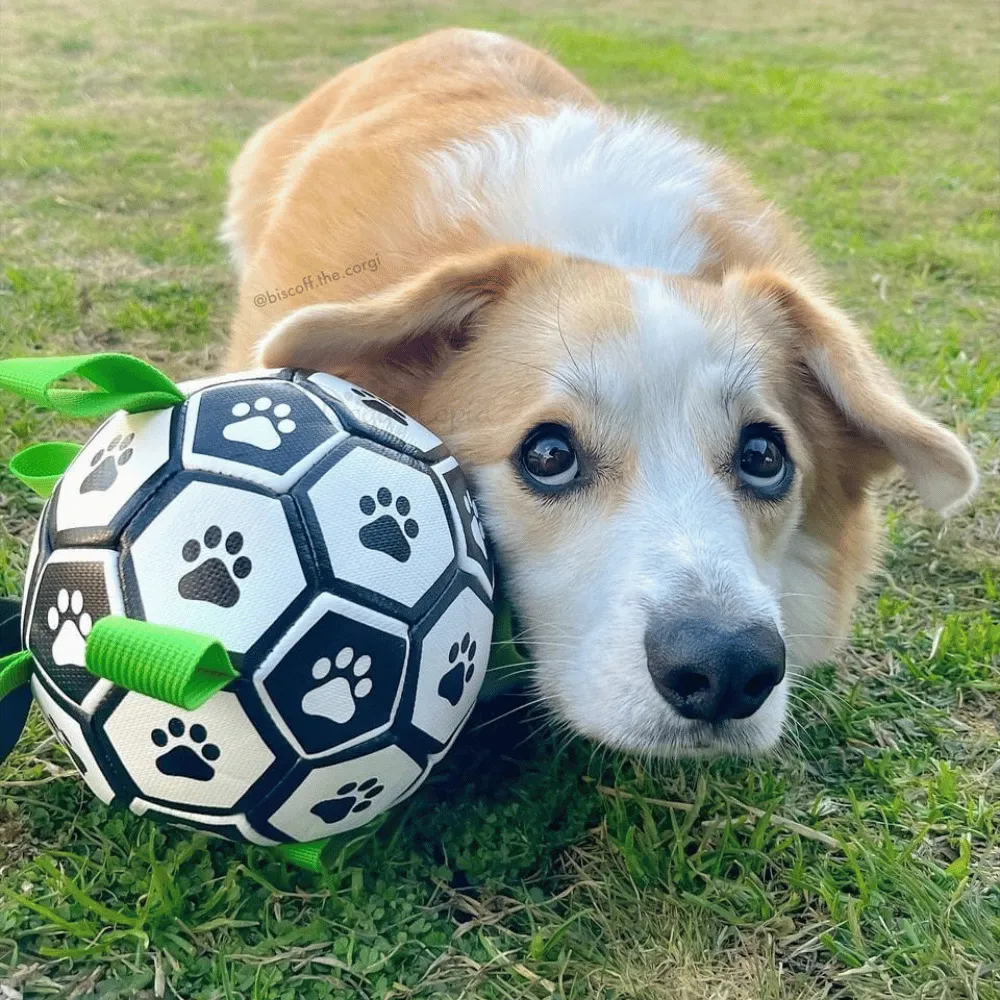 Interactive Dog Soccer Ball With Grab Tabs