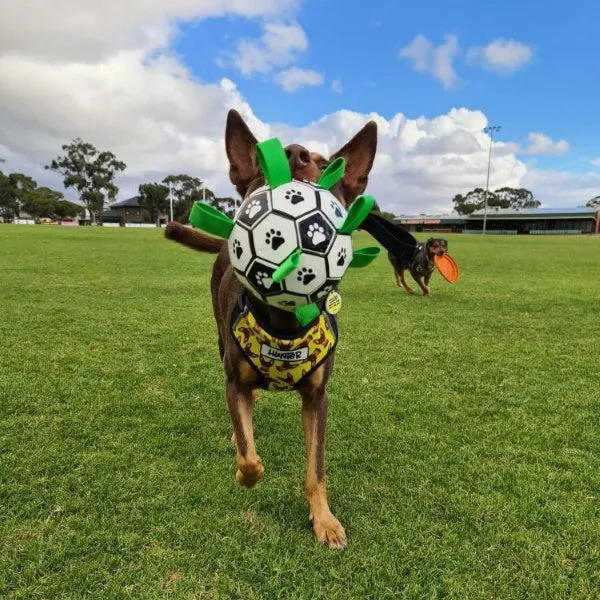 Interactive Dog Soccer Ball With Grab Tabs