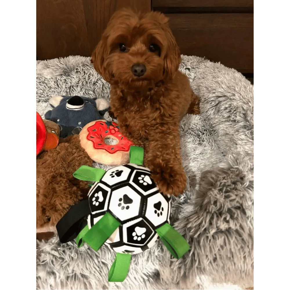 Interactive Dog Soccer Ball With Grab Tabs