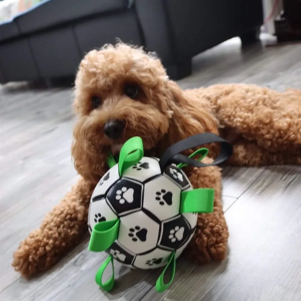 Interactive Dog Soccer Ball With Grab Tabs